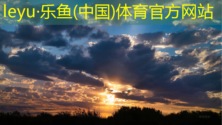 乐鱼体育,南京特色塑胶跑道